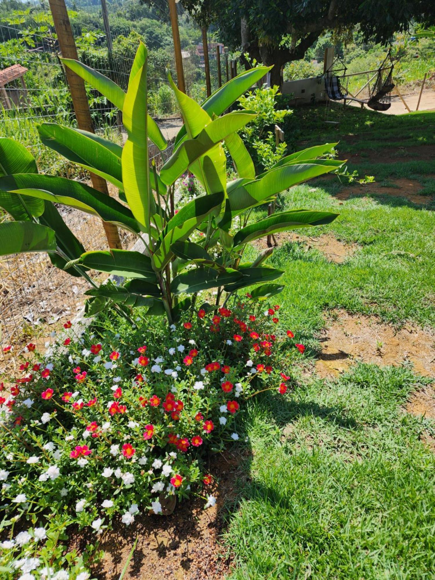 Pousada Canto Do Sabia Piuma Ngoại thất bức ảnh